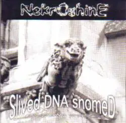 Slived DNA Snomed